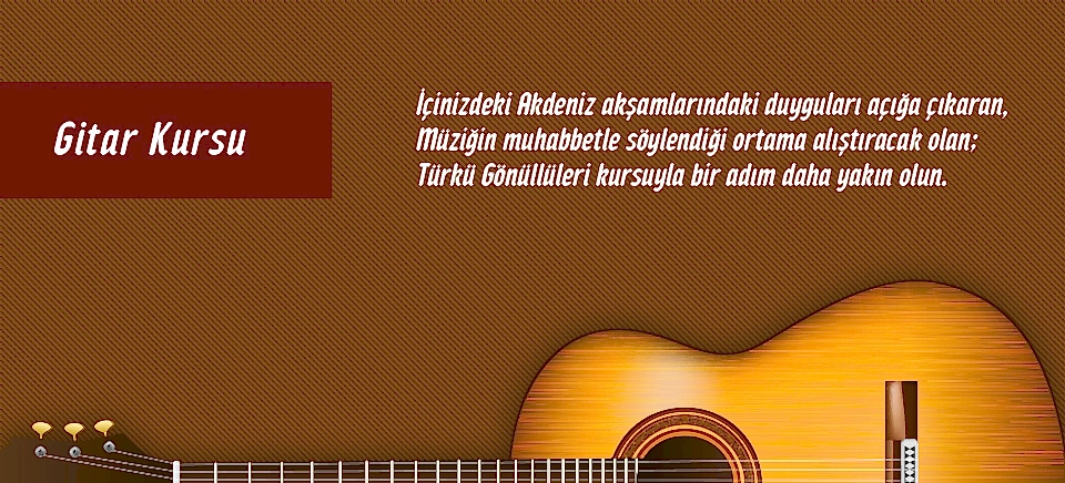 Türkü Gönüllüleri