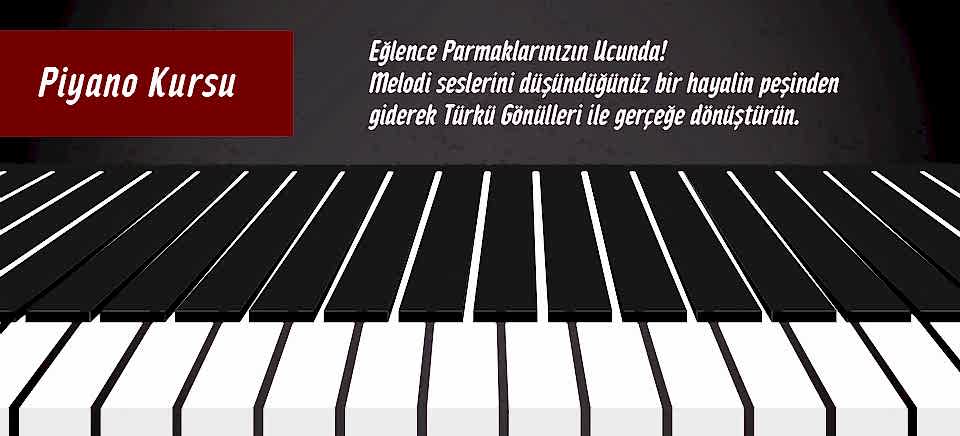 Türkü Gönüllüleri