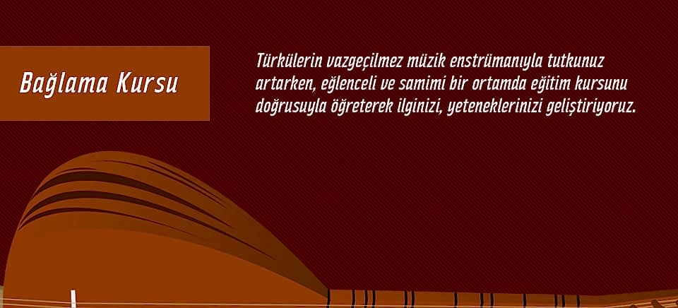 Türkü Gönüllüleri